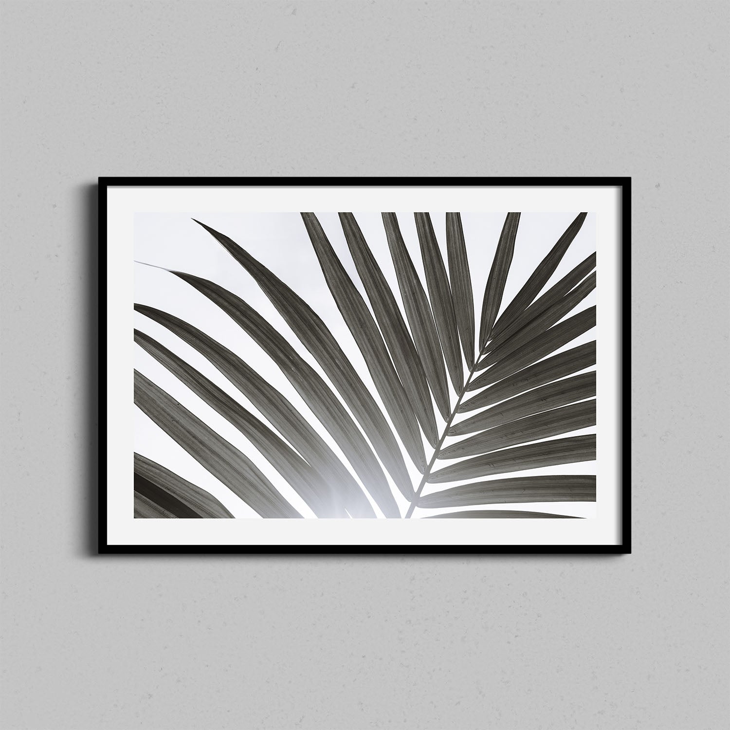 Palm Leaf Print