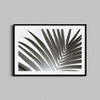 A black and white photograph of a palm tree leaf framed in a black wooden frame.