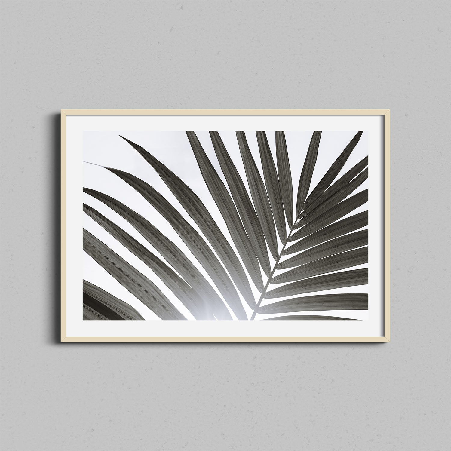 Palm Leaf Print