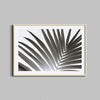 A black and white photograph of a palm tree leaf framed in a natural wooden frame.