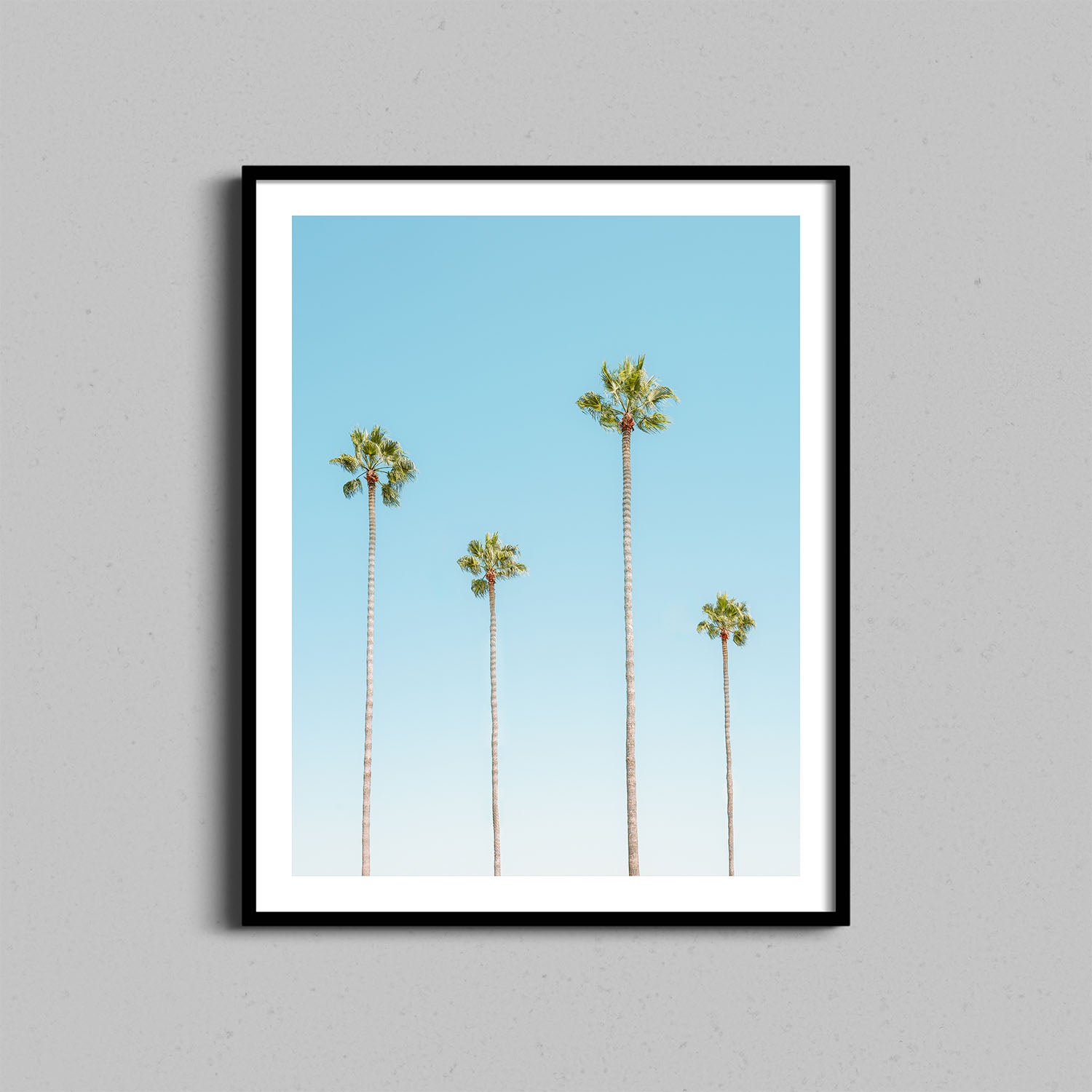 Four Palm Trees