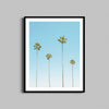 A photography print of four tall palm trees framed with a black wooden frame.