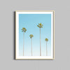 A photography print of four tall palm trees framed with a natural wooden frame.