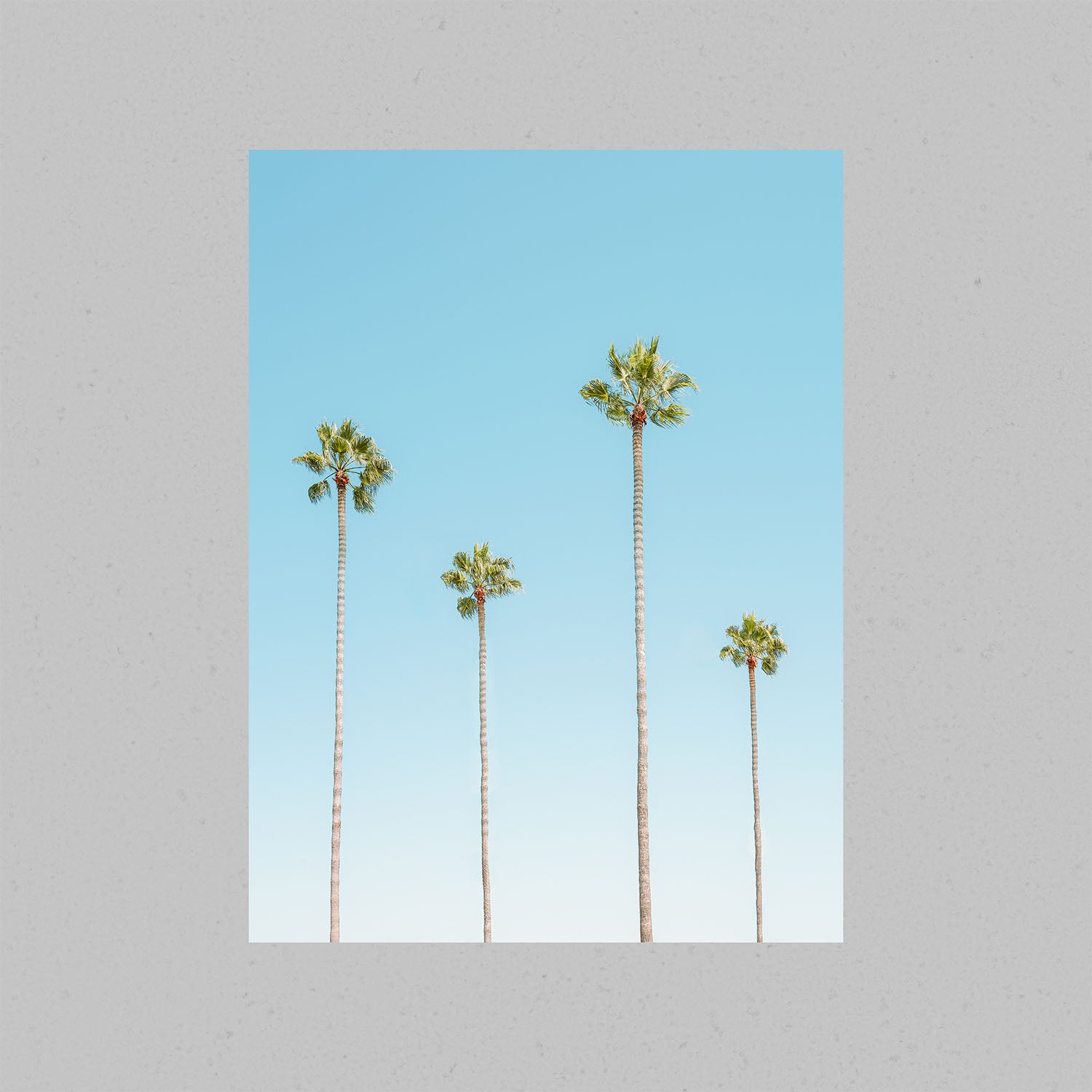 Four Palm Trees