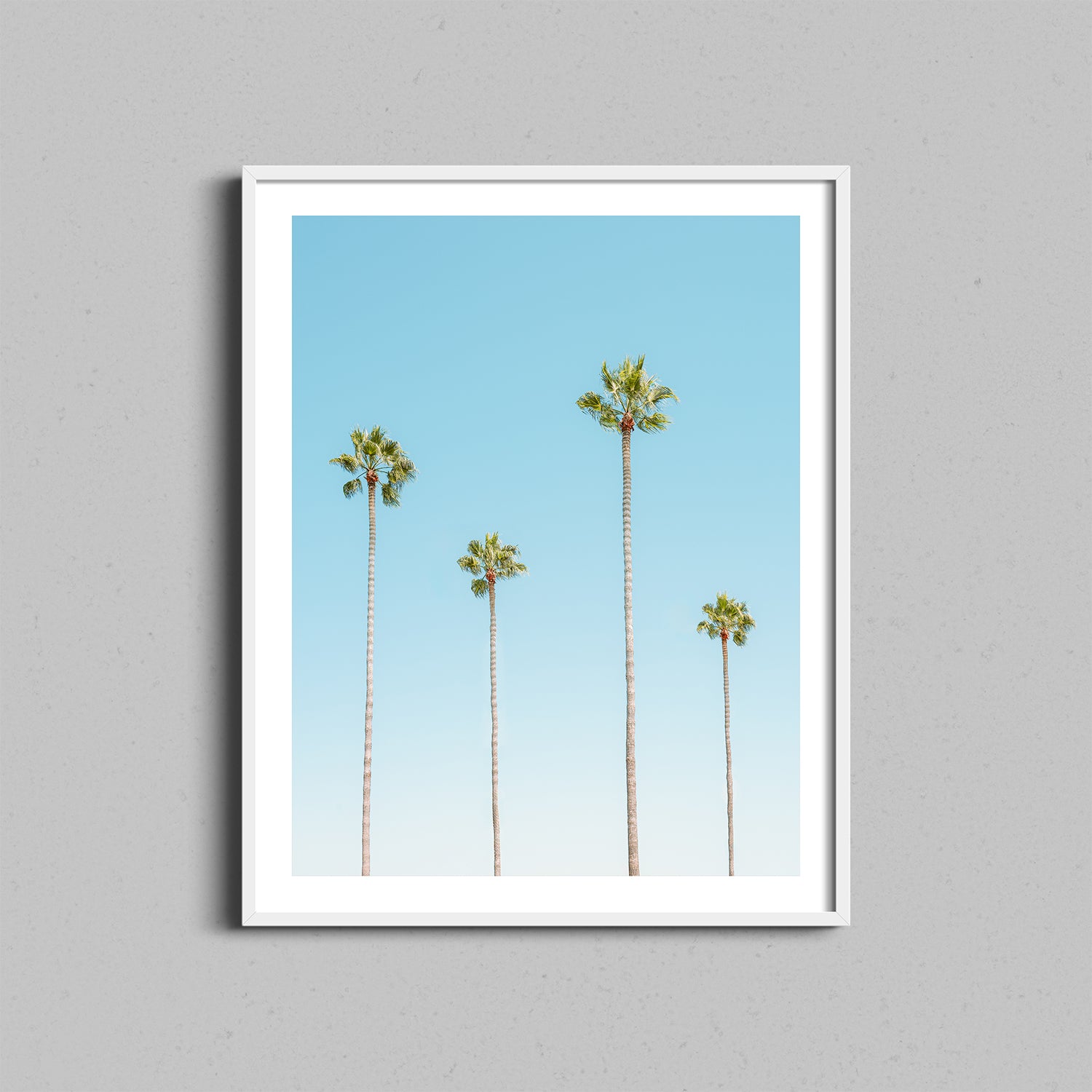 Four Palm Trees