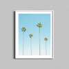 A photography print of four tall palm trees framed with a white wooden frame.