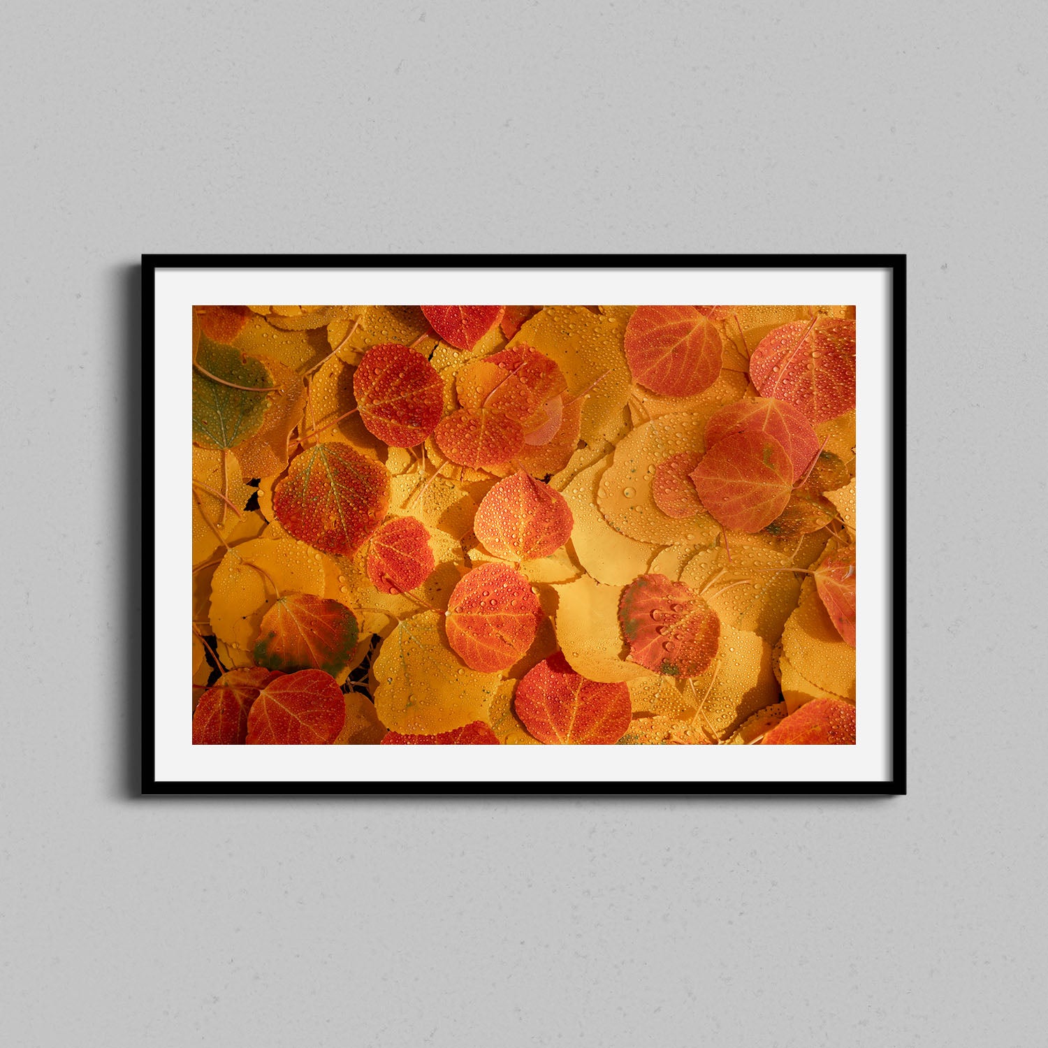 Autumn Leaves Abstract Print