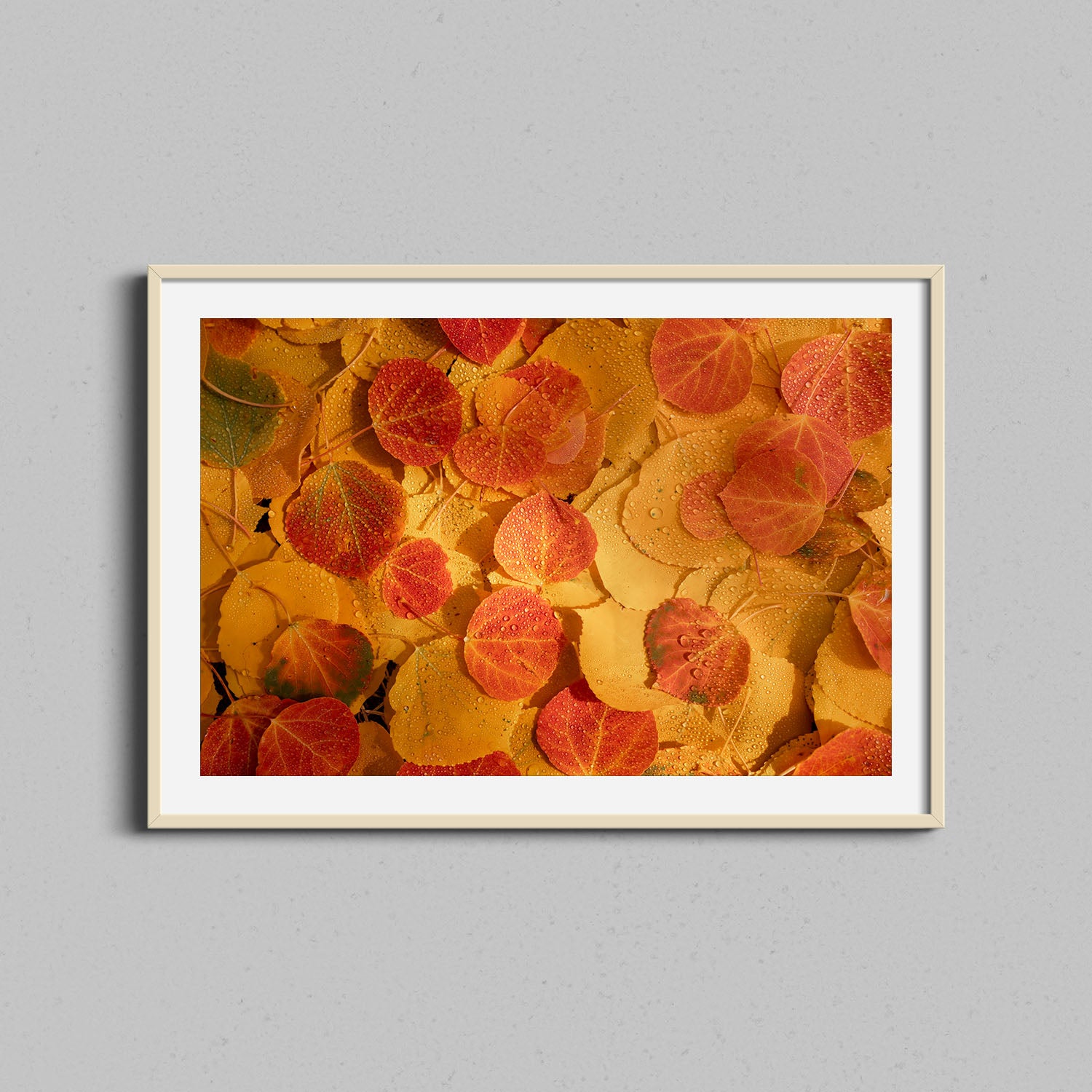 Autumn Leaves Abstract Print