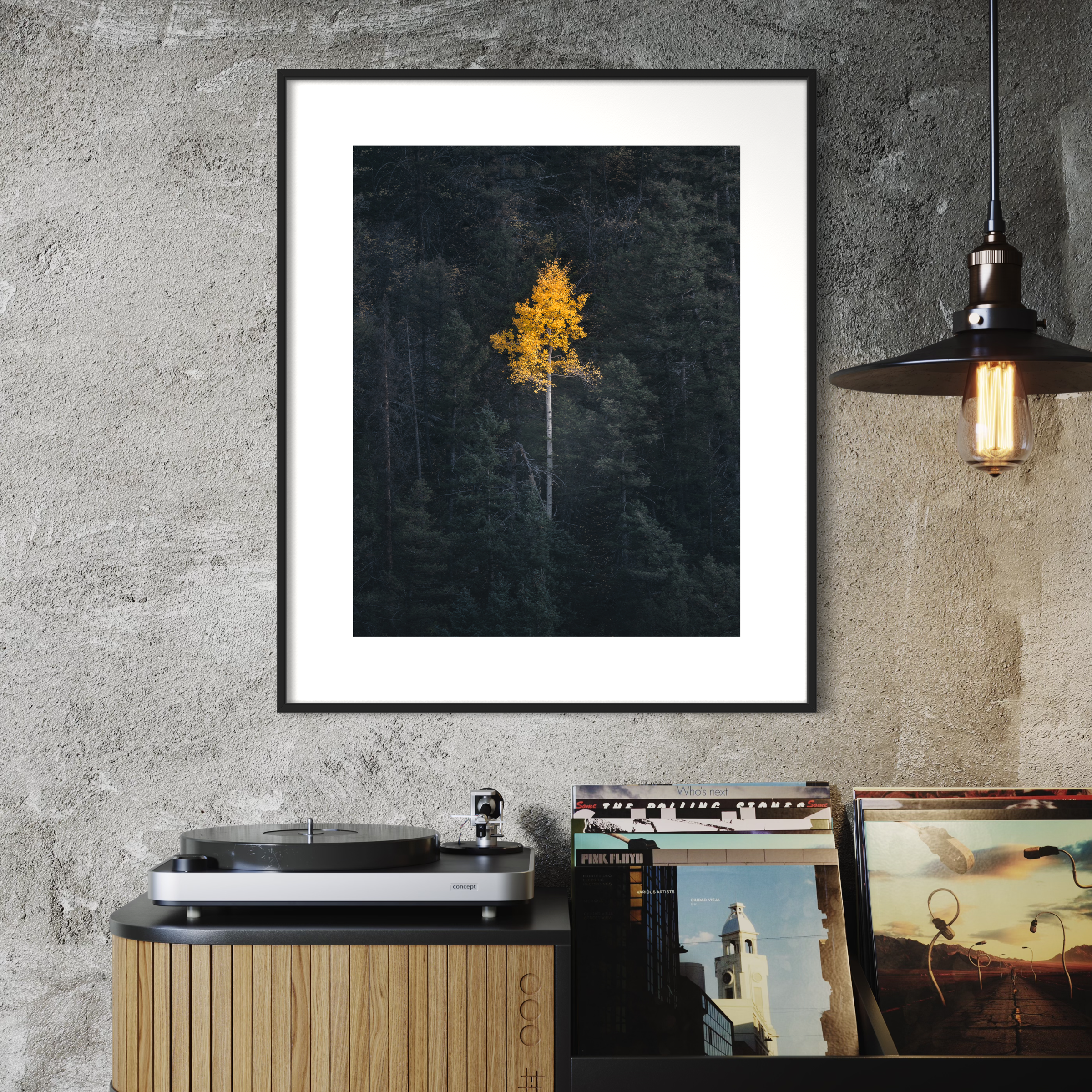 Lone Aspen Tree Print