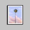 A photograph of a single palm tree against a sunset sky framed in a black wooden frame.