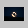 Wall art of a surfer holding a surfboard against the backdrop of a full moon.