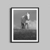 Sand Wash Wild Horse Print