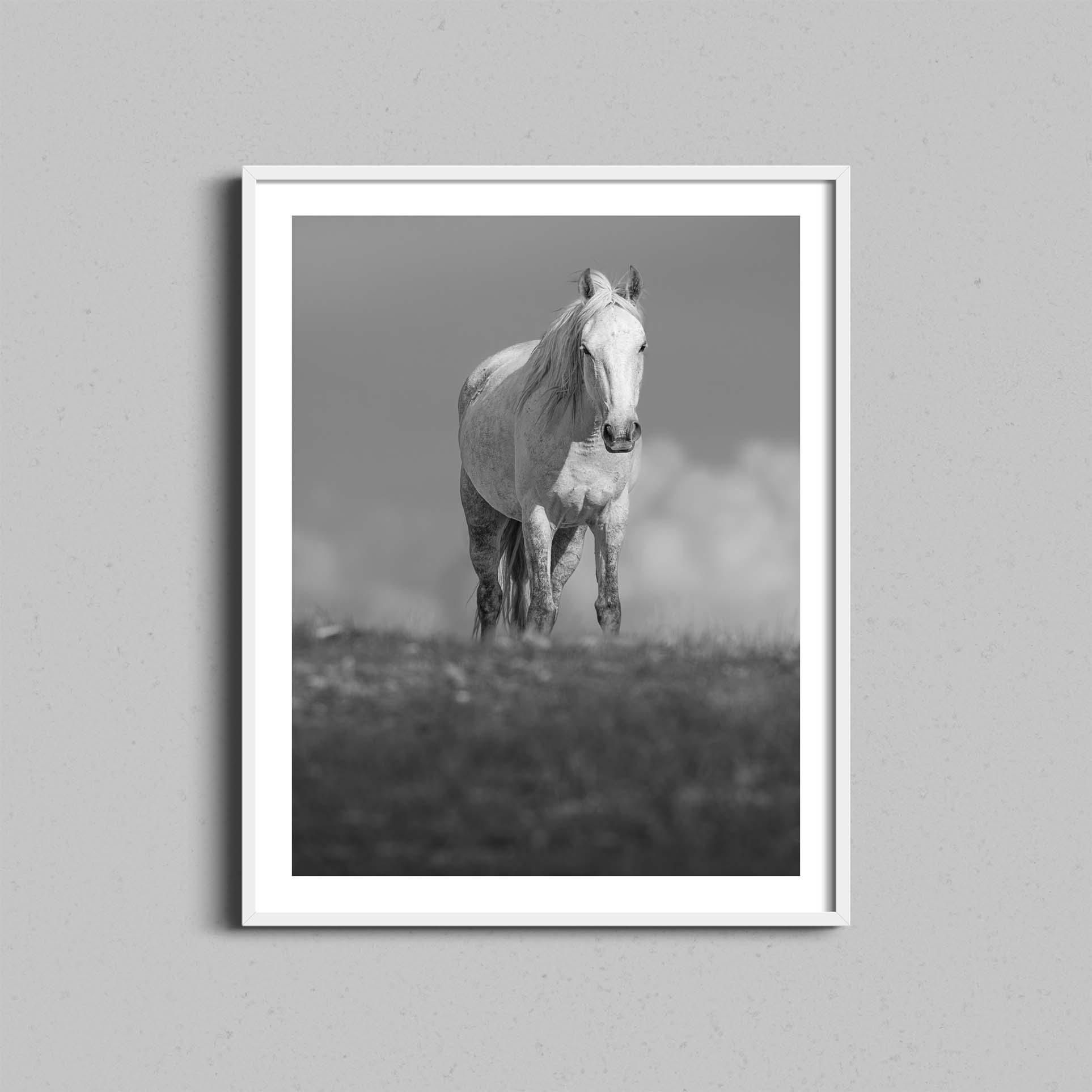 Sand Wash Wild Horse Print