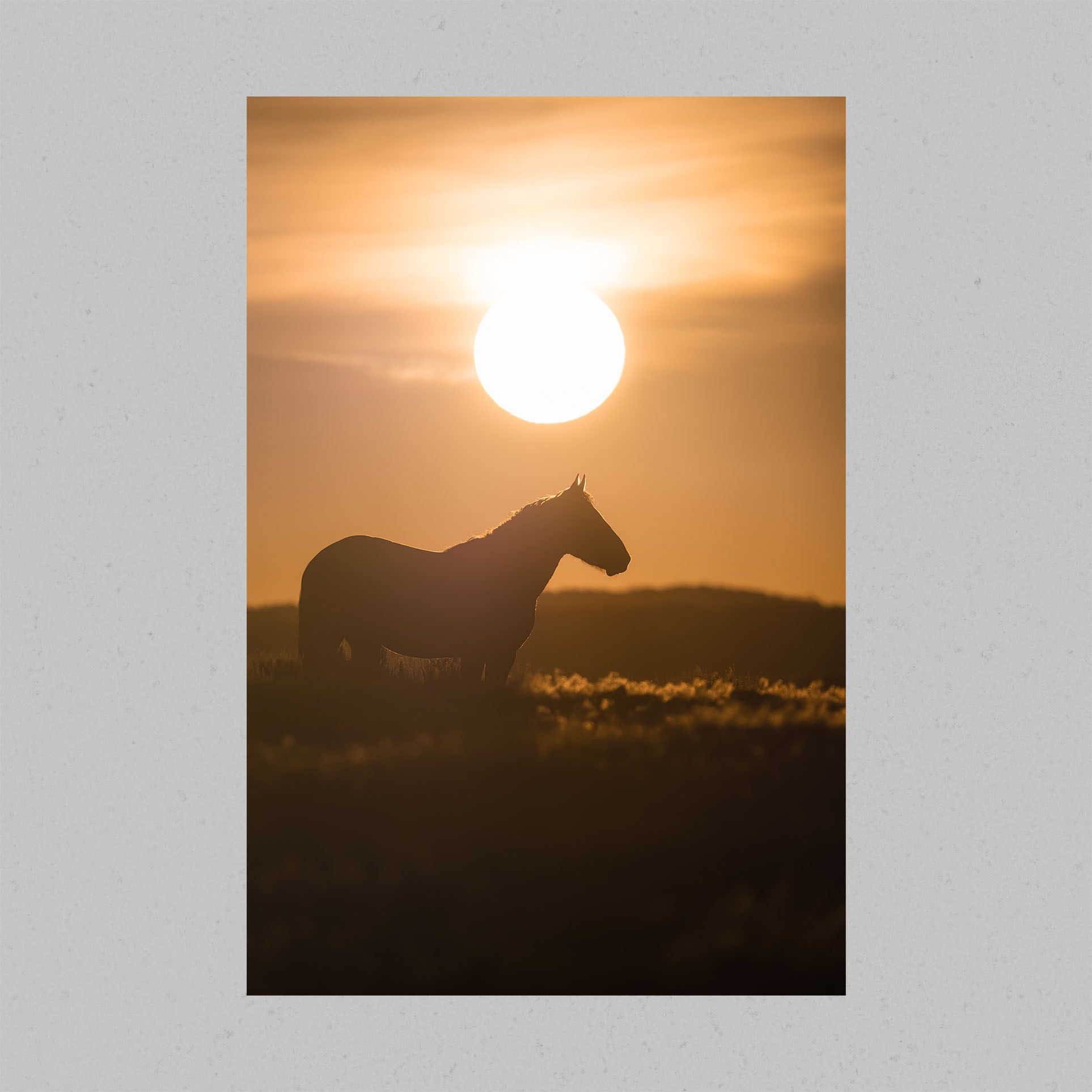 Wild Horse Sunrise Print