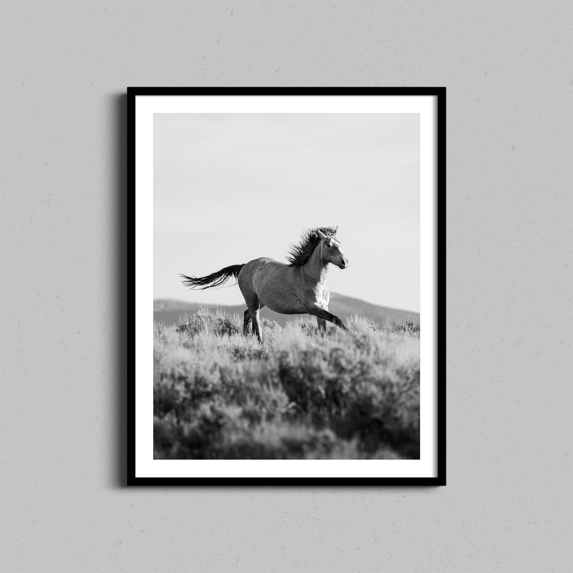 Running Wild Stallion Print