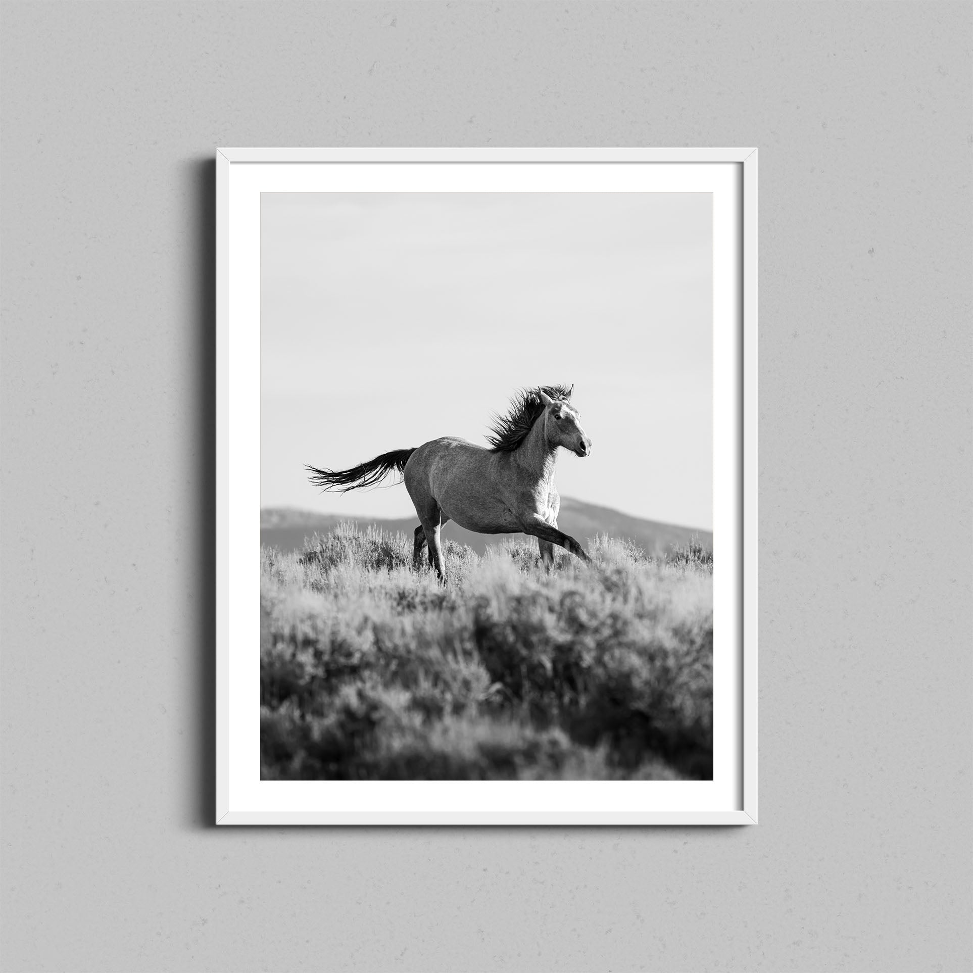 Running Wild Stallion Print