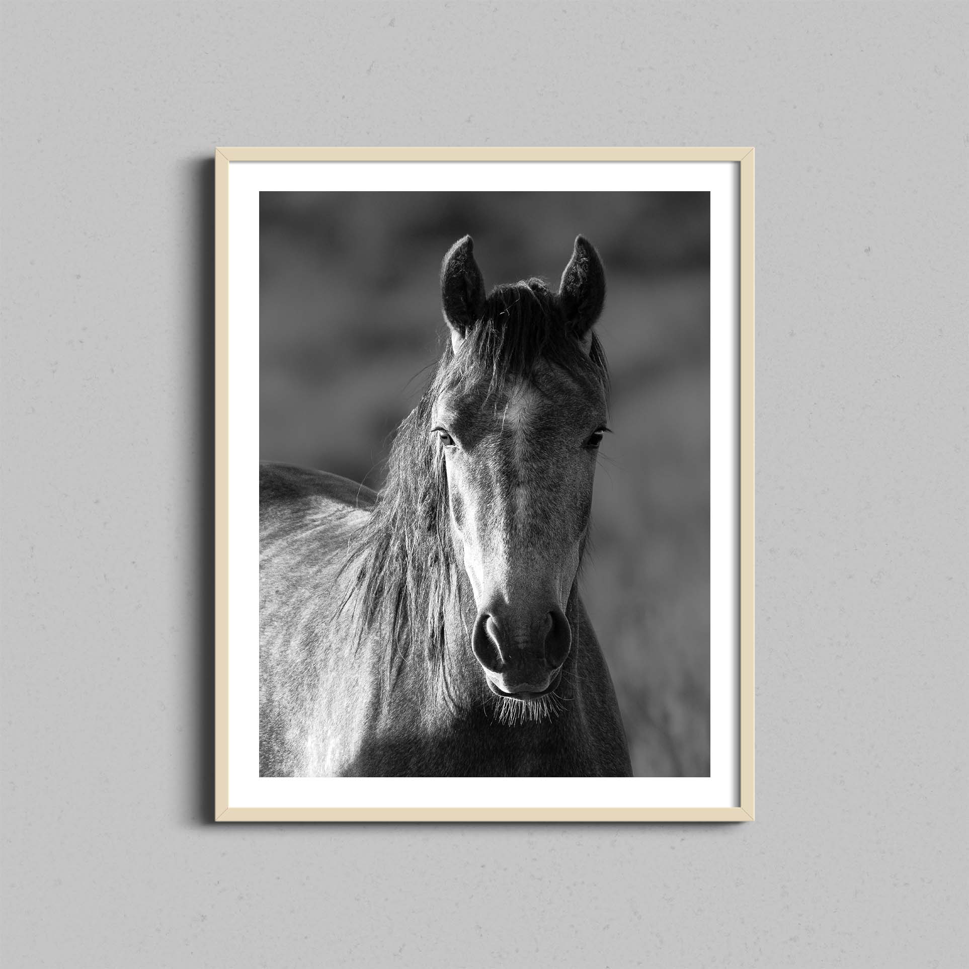 Wild Horse Print