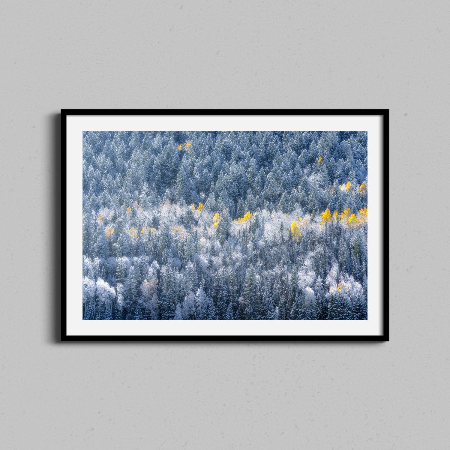 Winter and Fall Collide Print