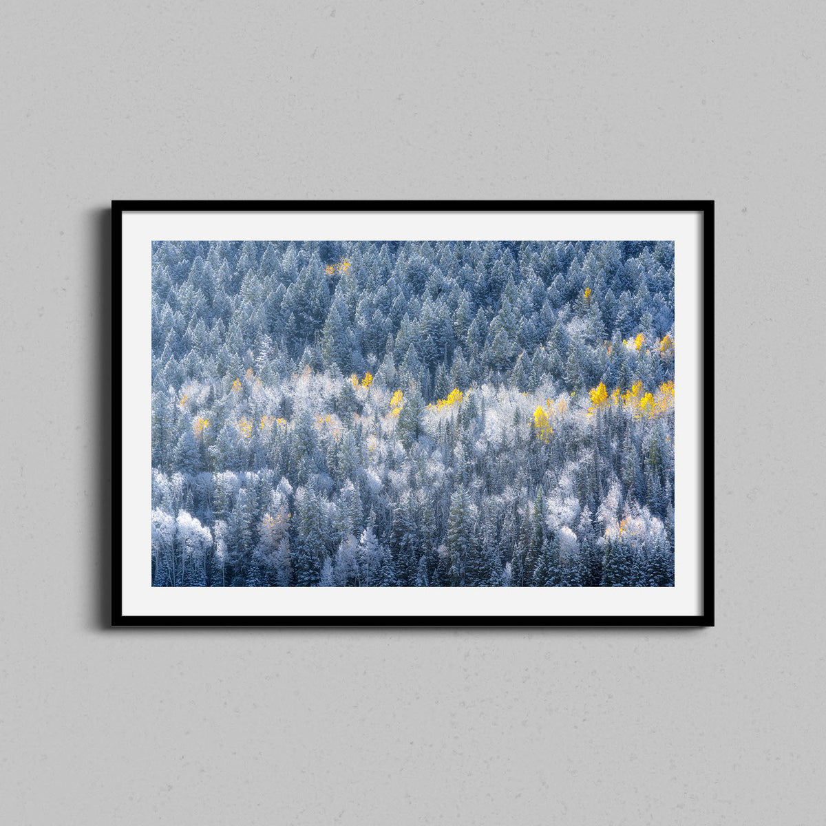 Winter and Fall Collide Print | Casey Mac Prints