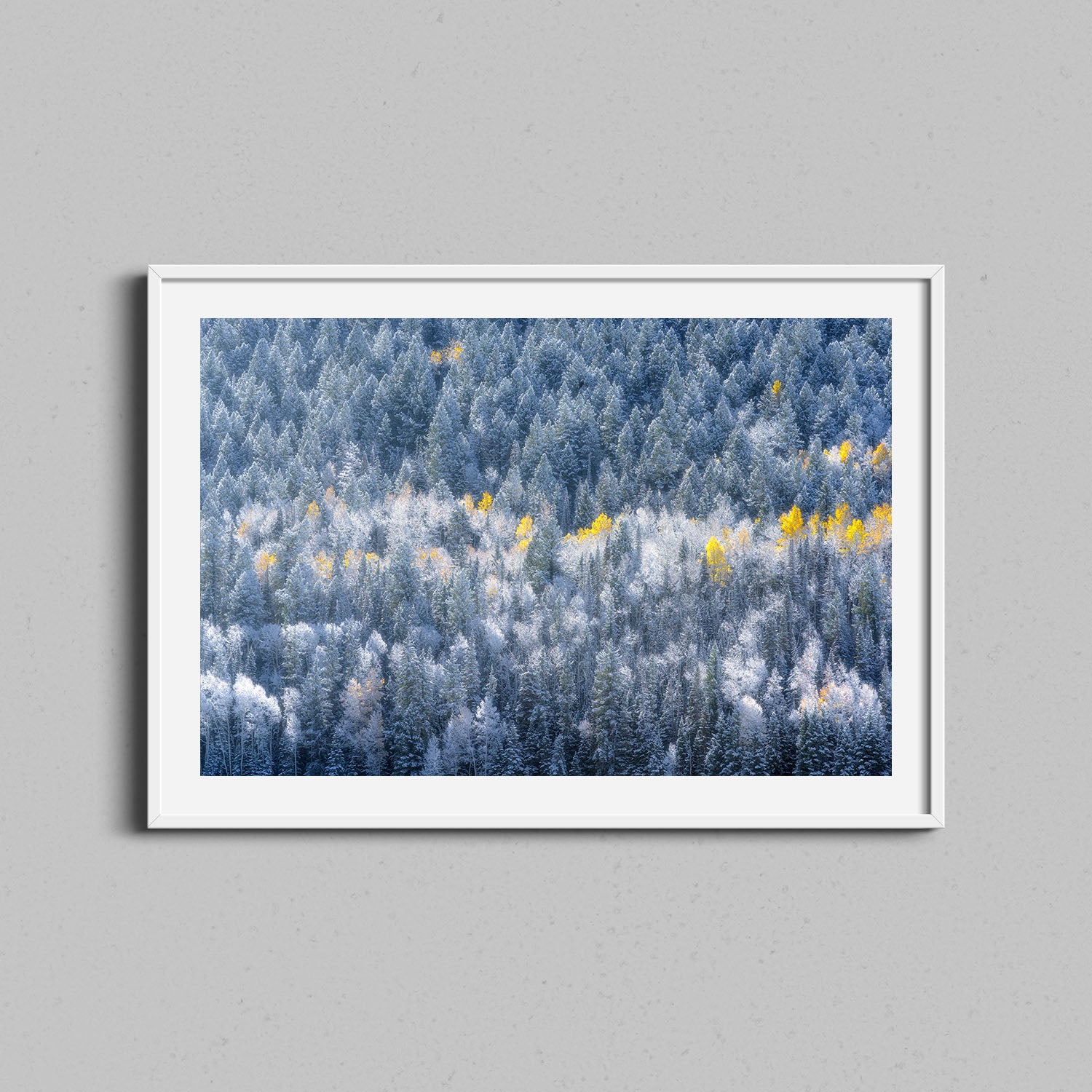 Winter and Fall Collide Print