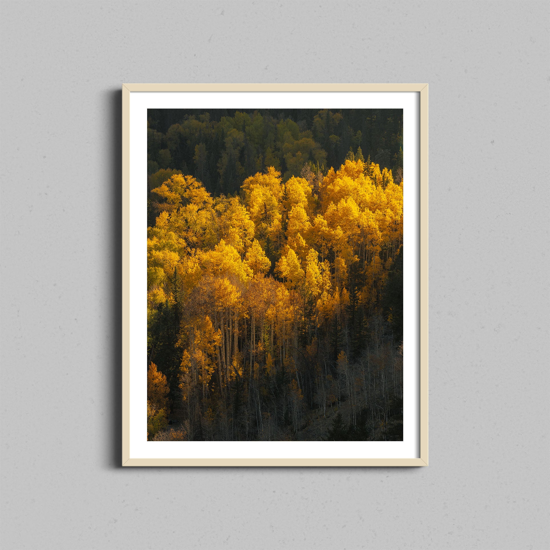 Aspen Tree Glow Print